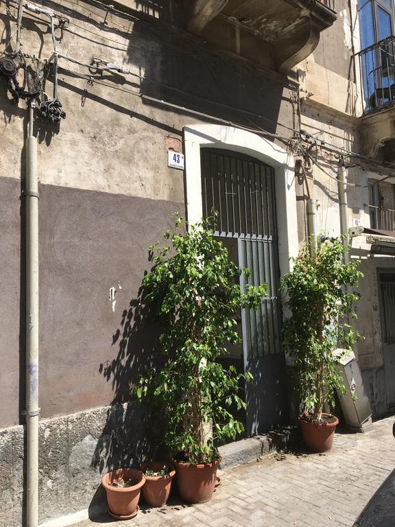 Casa Vacanza Civita Catania Centro Catânia Exterior foto